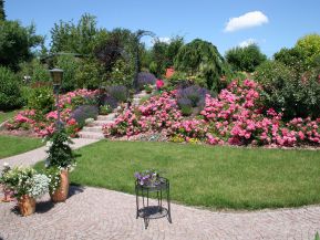 Rosenbogen mit Anhang